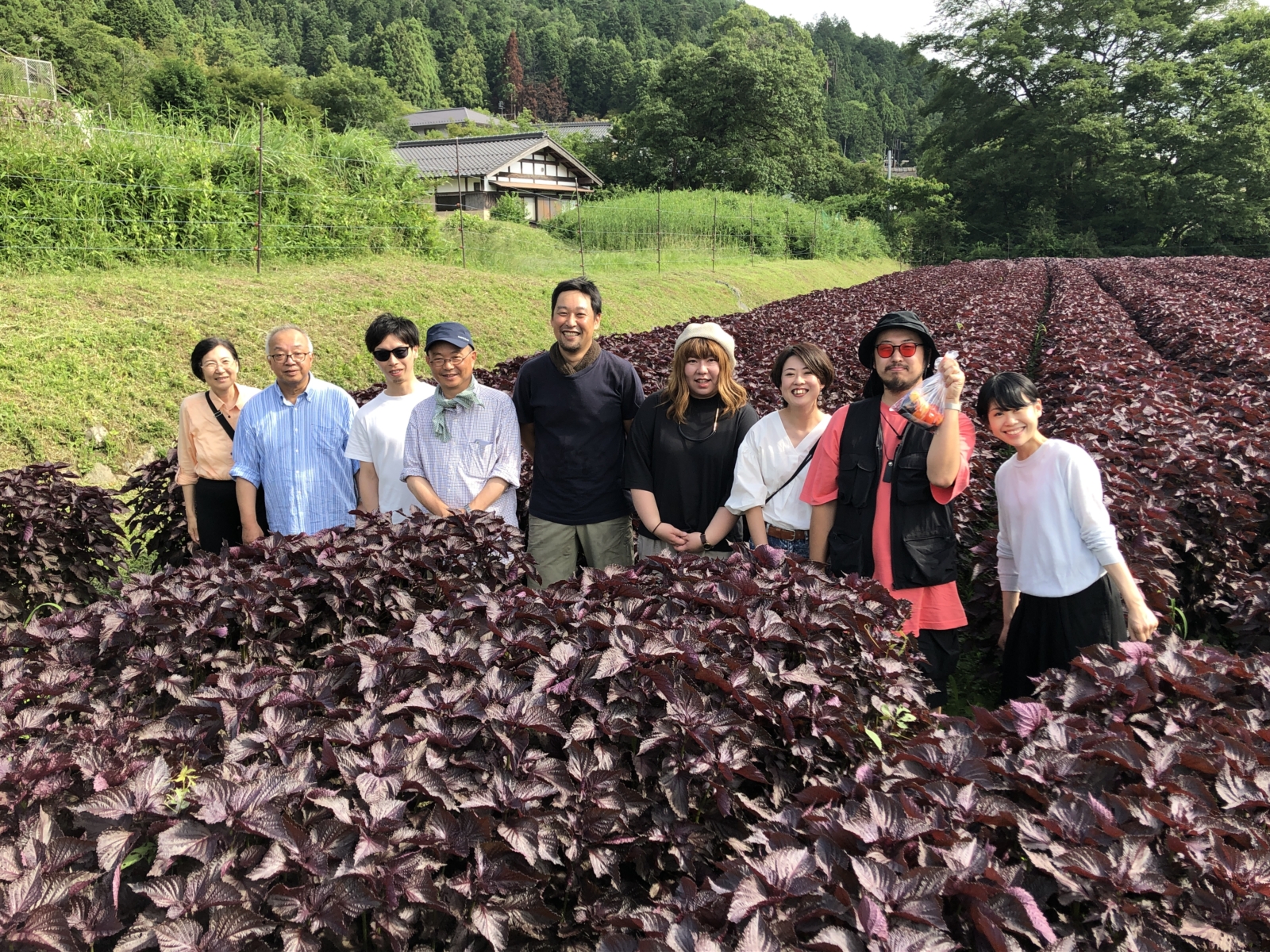 京都 美山の大豆で作るゆばづくり「京・美山ゆばゆう豆」工場見学レポート