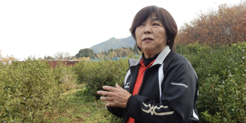 四国の発酵茶・石鎚黒茶を受け継いで