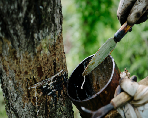 岩手 滴生舎の漆器 | D&DEPARTMENT