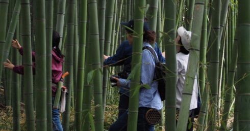 高野竹工の伐り子とゆく、京都竹林ツアー