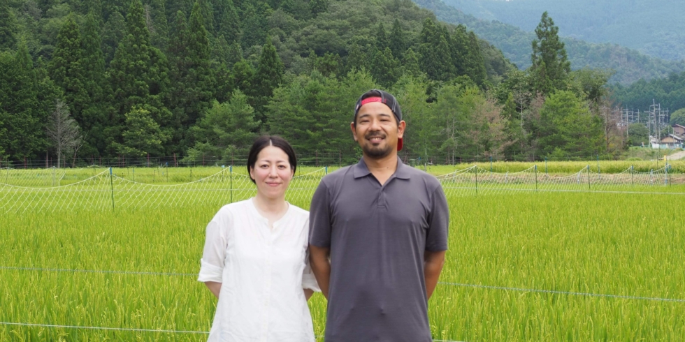 「おかわりしたいお米」美山町 齋藤 碌さんの米作り