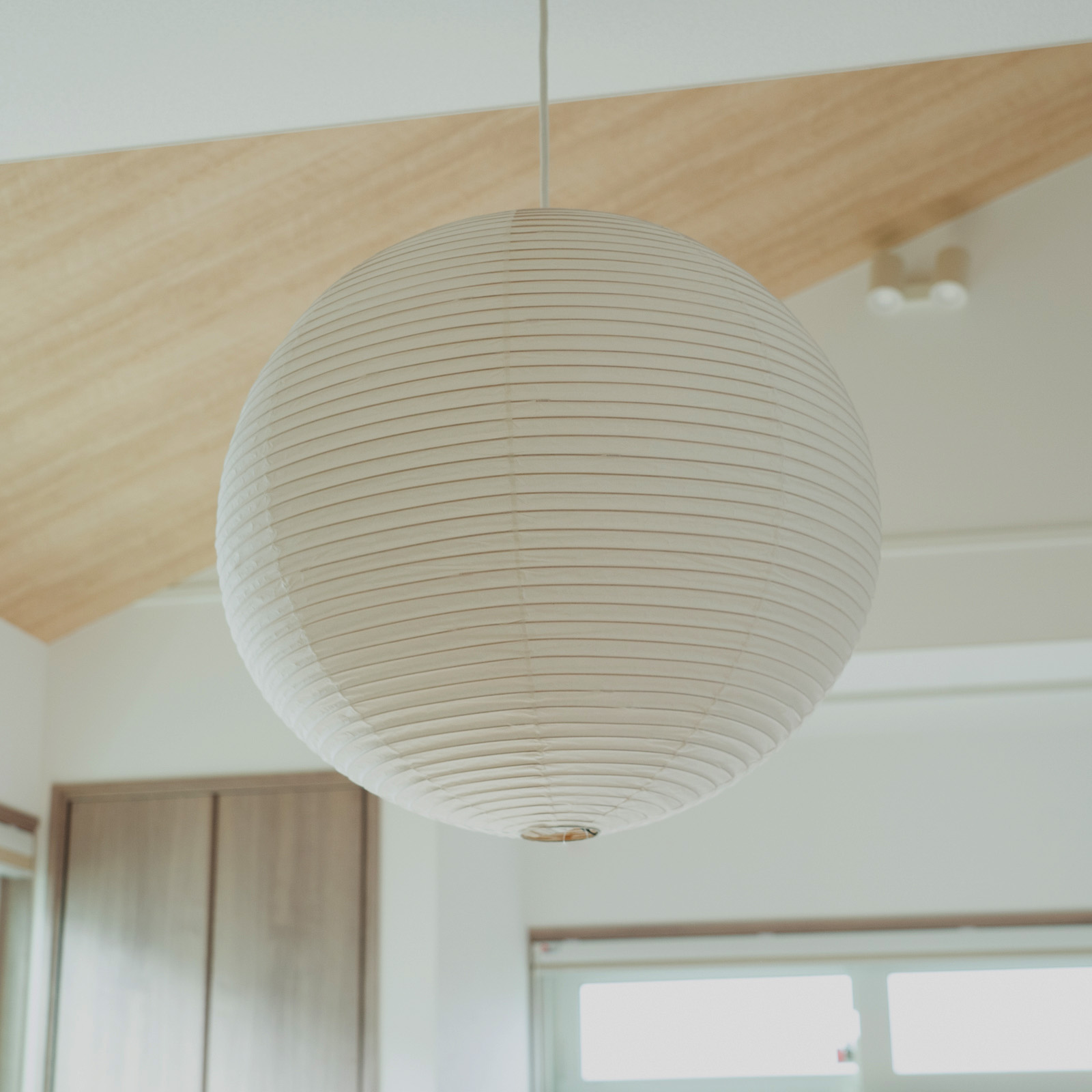 2024年 人気商品ランキング | D&DEPARTMENT