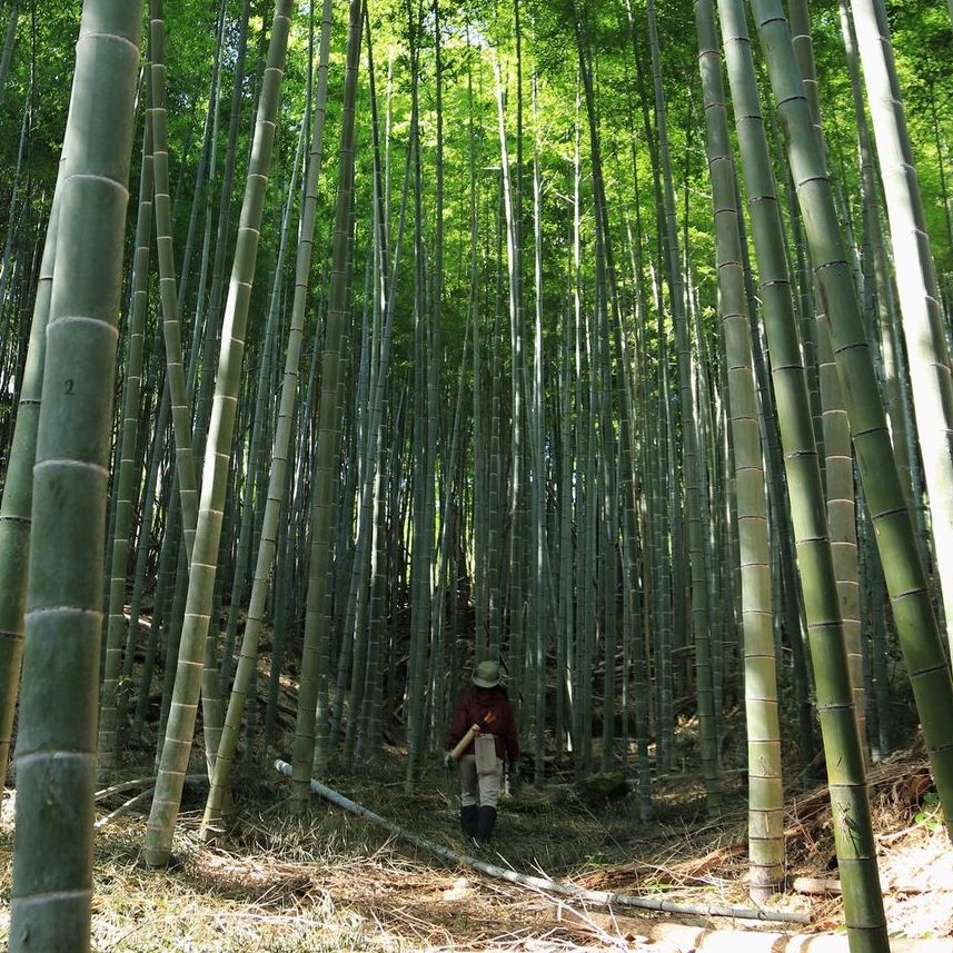 高野竹工のお茶まわりの道具