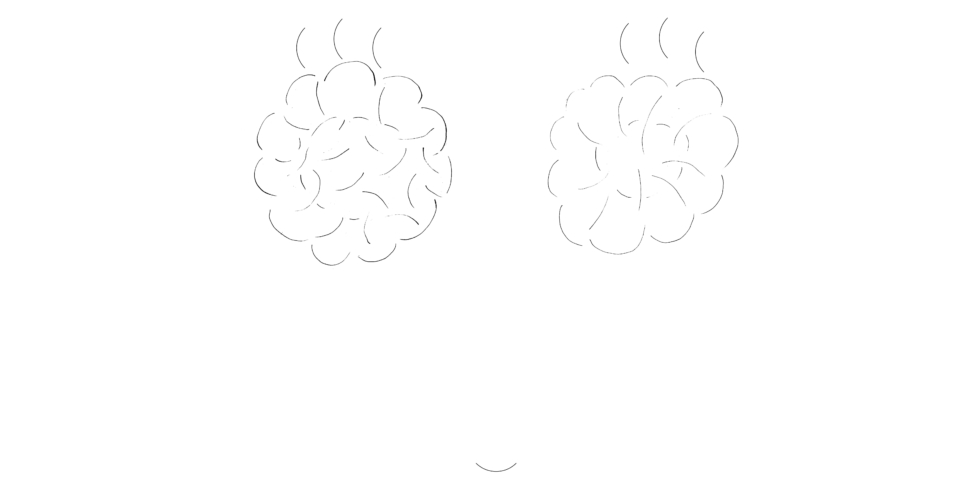 羊毛とおはなとあなた」 羊毛とおはな×渡邉良重 with Viscum Flower