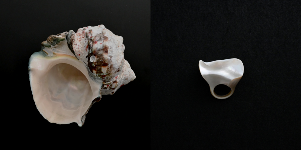 かいのわ　指輪　夜行貝　沖縄 沖縄「かいのわ」のゆびわ | D&DEPARTMENT