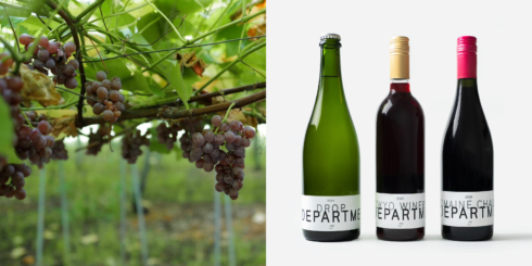 商品特集 | D&DEPARTMENT