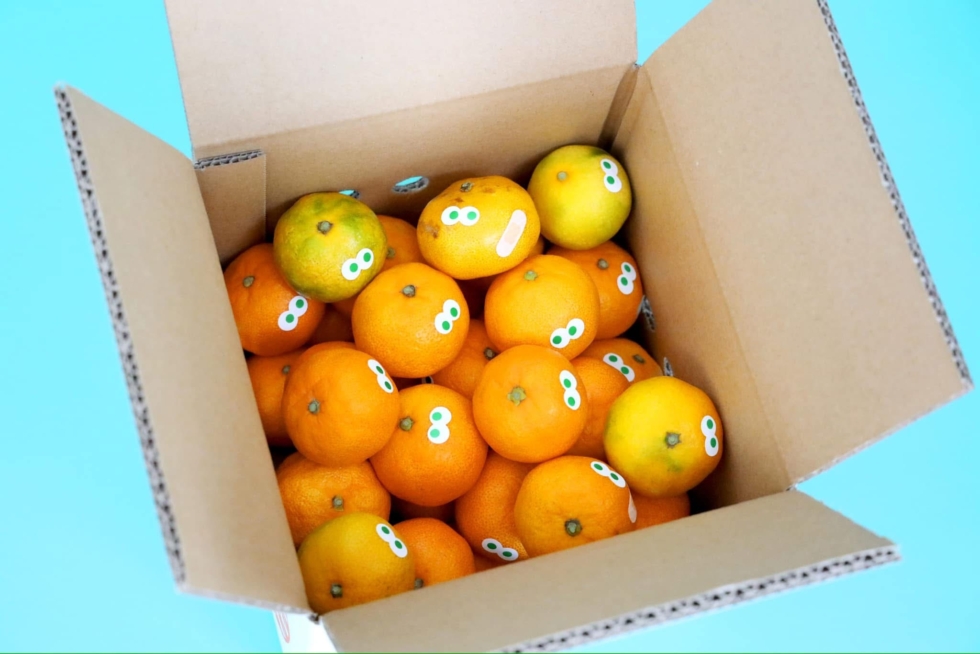 和歌山 かどやのアイアムミカン | D&DEPARTMENT