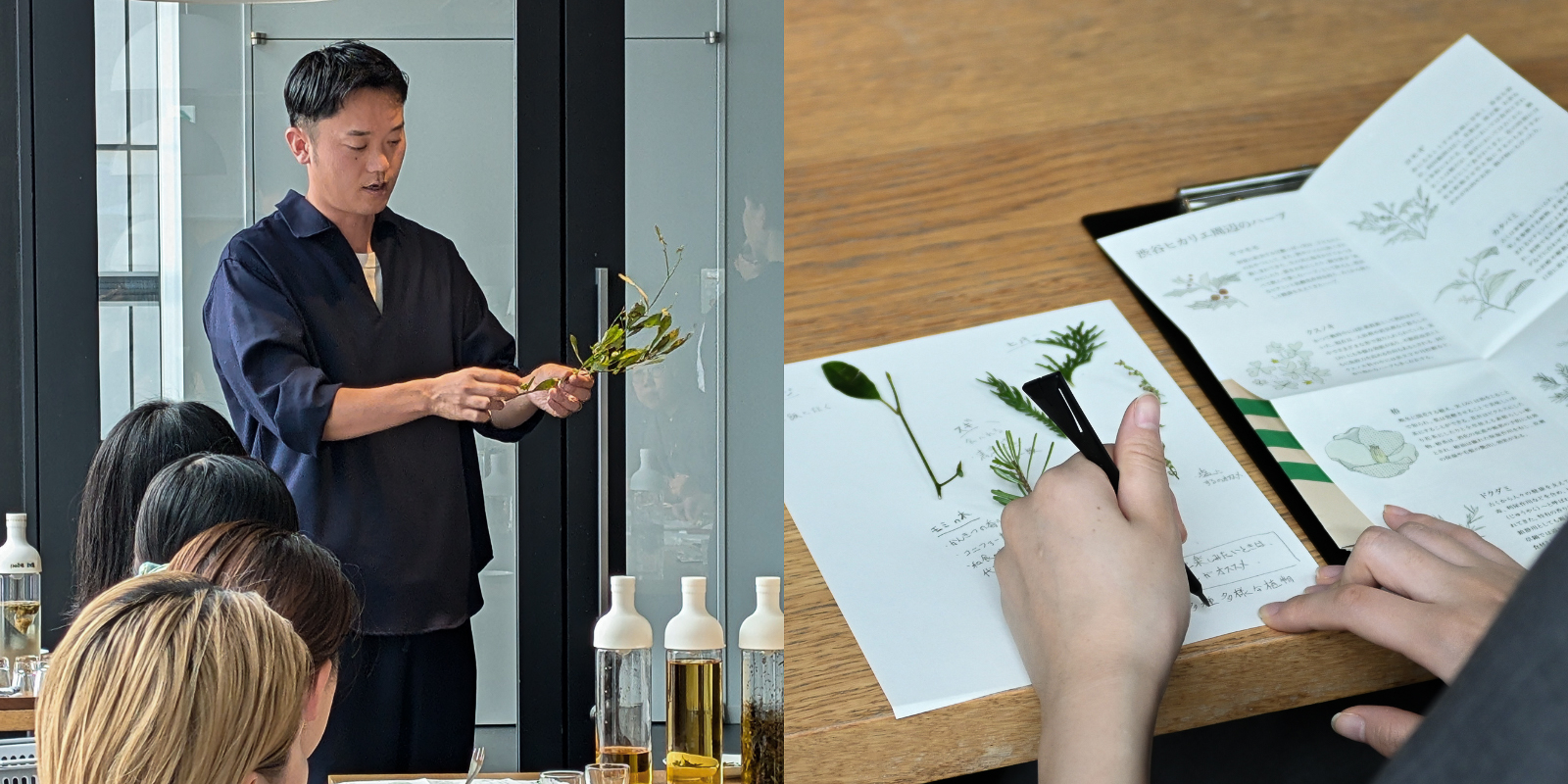 d SCHOOL わかりやすいハーブ 植物を編集するHERBSTANDに学ぶ、ハーブ